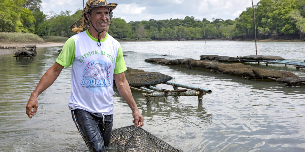 Oyster farmer in Brazil.