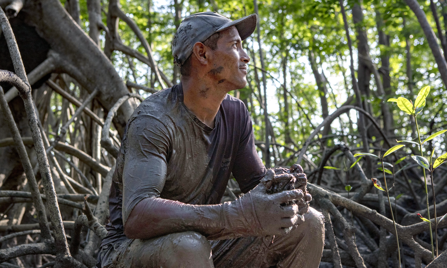 Luis Antonio Silva Craveiro, a crab fisher from Soure, harvesting crabs in the mangroves.