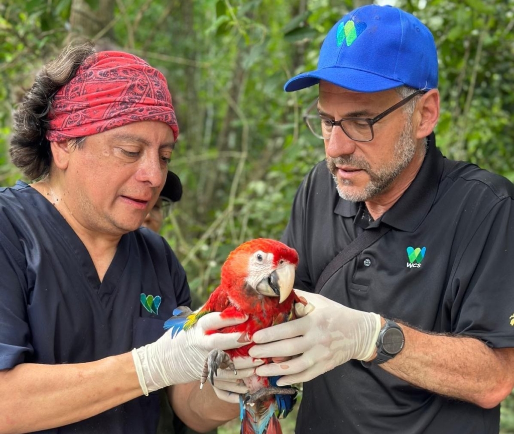 Adam Falk with a parrot.