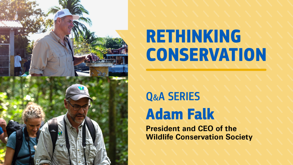 Adam Falk, WCS 