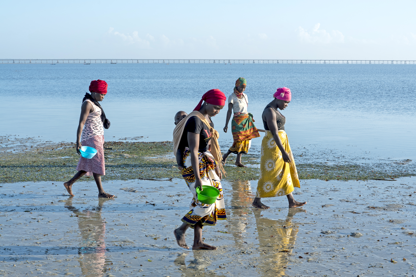 fisherwomen walking along the beach looking for mollusks