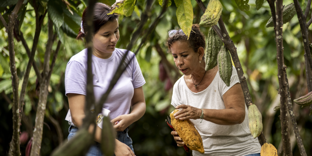 Woman and daughter inspecting a cacao pod on their farm in Colombia.