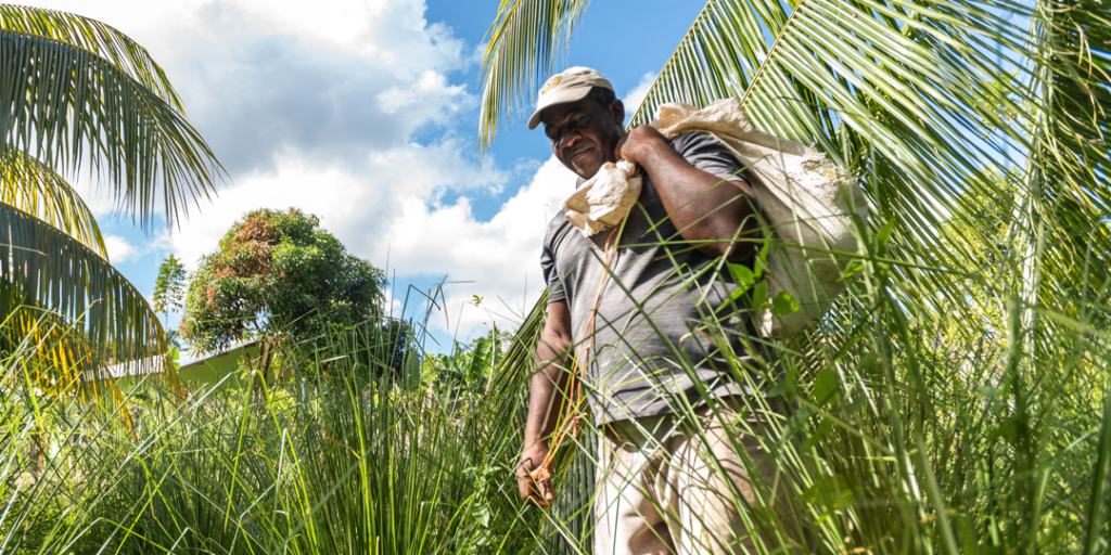 Farmer in Honduras tending to his land.