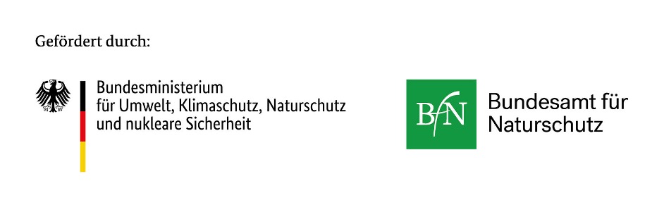 vfn funder logos