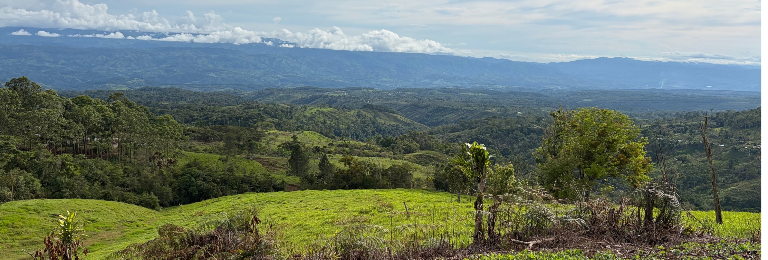 Wildlife Corridors on Costa Rica Farms Offer a New Path for Conservation.