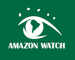 amazon watch logo