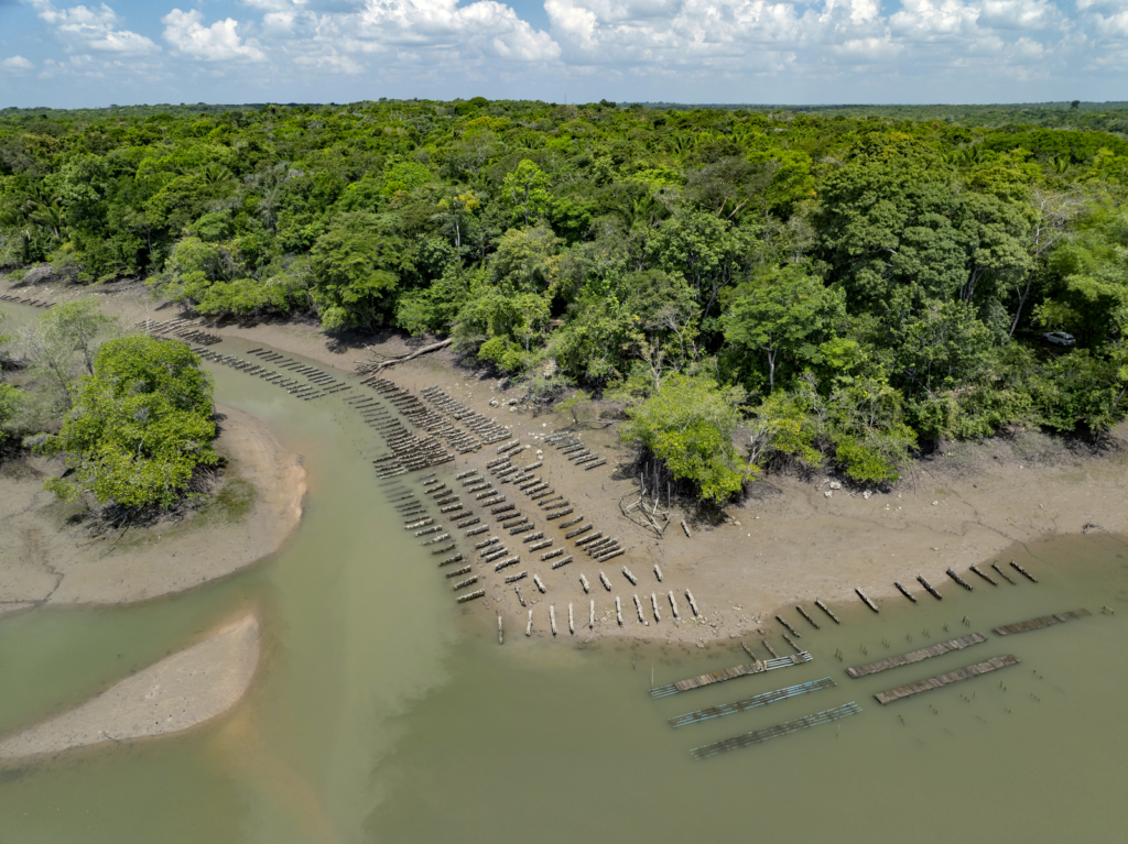 Drone shot of a mangrove area with longlines and oyster bags emerging from the tide.