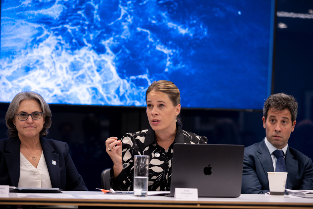 Kate Schweigart, VP of Innovative Finance at Rare, speaks during the launch event for Deep Blue. She was joined by Karen Sack of Ocean Risk & Reduction Action Alliance (left) and Zach Levey of Levoca (right).